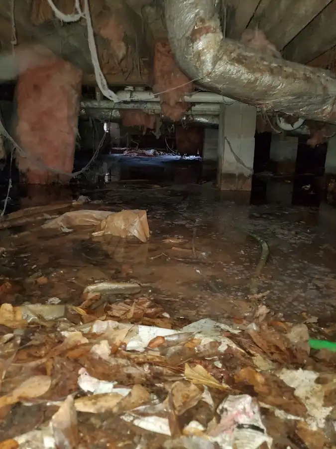 Crawl space flood assessment for Leak Detection & Repair in Golden Gate