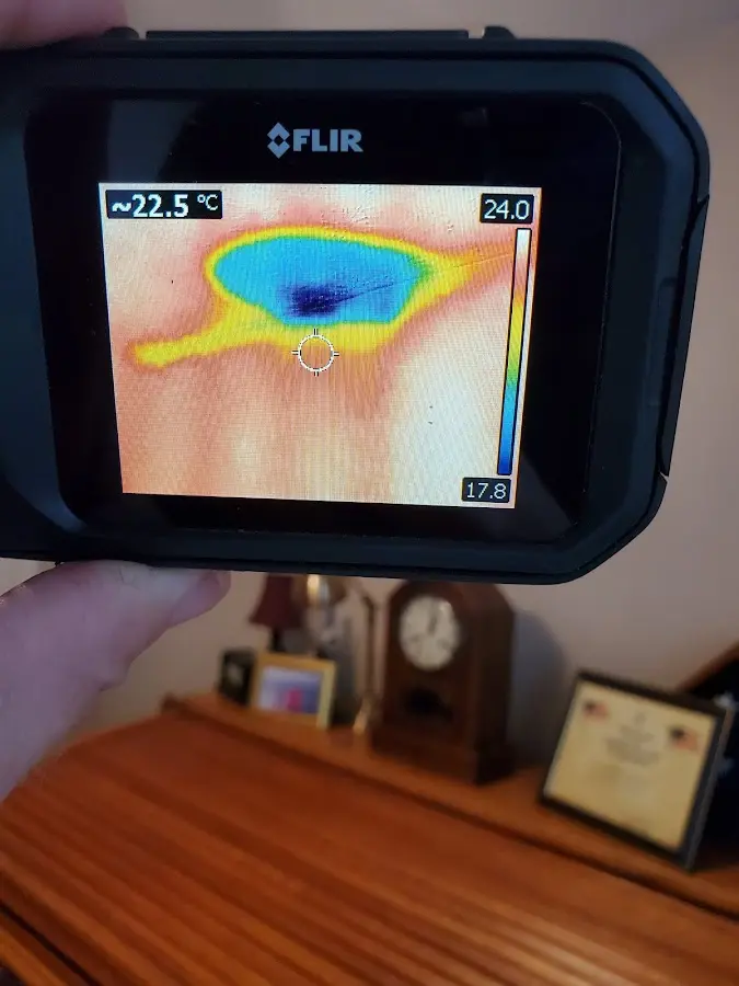 Thermal imaging inspection for water damage in Golden Gate