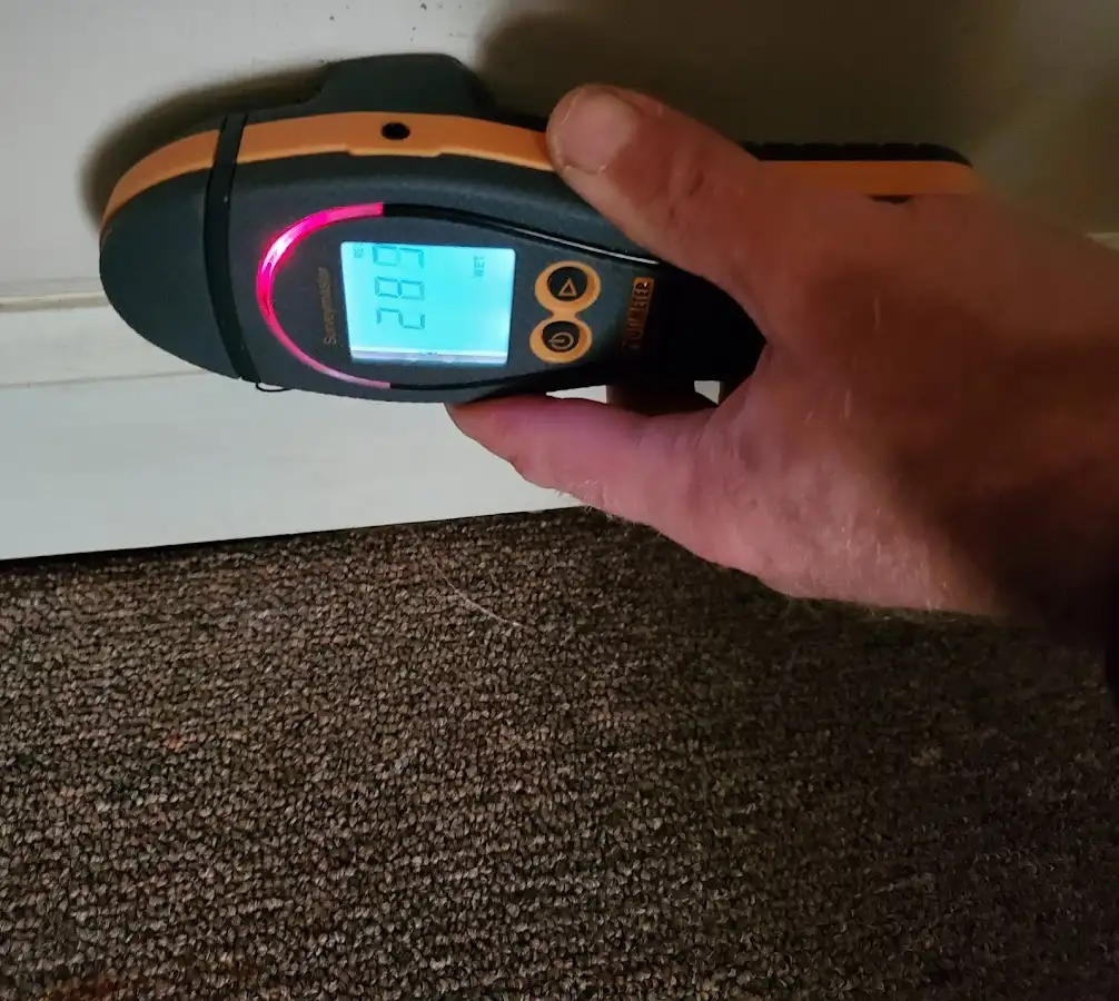 Moisture detection at baseboard during Mold Inspection & Testing in Golden Gate
